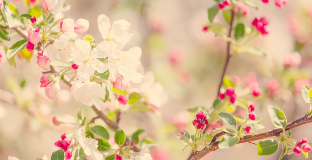 È primavera svegliatevi bambine…